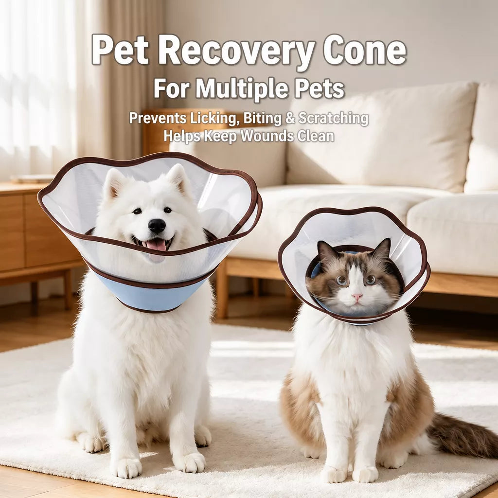 Plastic Recovery Cone for Dogs