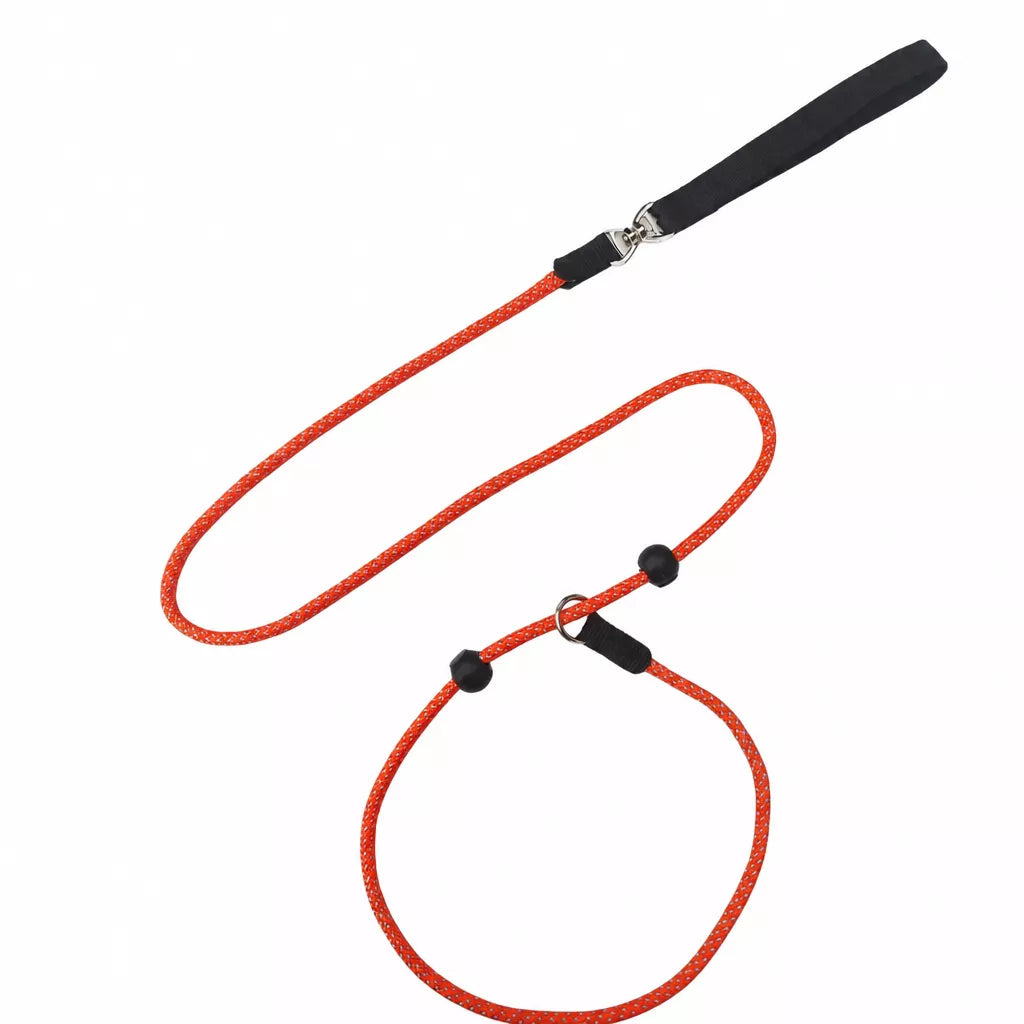 Nylon Rope-Style Dog Training Leash for Small and Medium Dogs