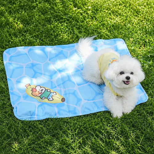 Blue Square Dog Mat