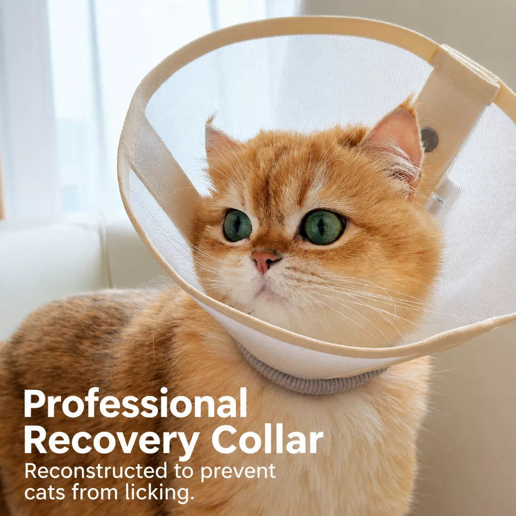 Lightweight Plastic Recovery Cone for Dogs and Cats