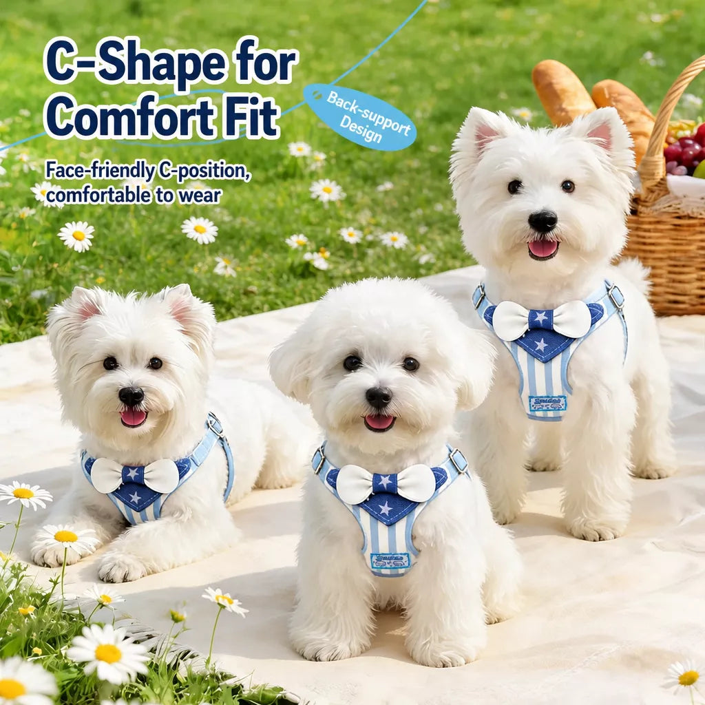 Nylon Harness for Small Dogs