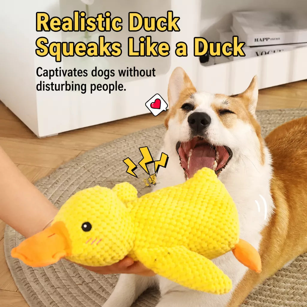 Plush Squeaky Dog Toy