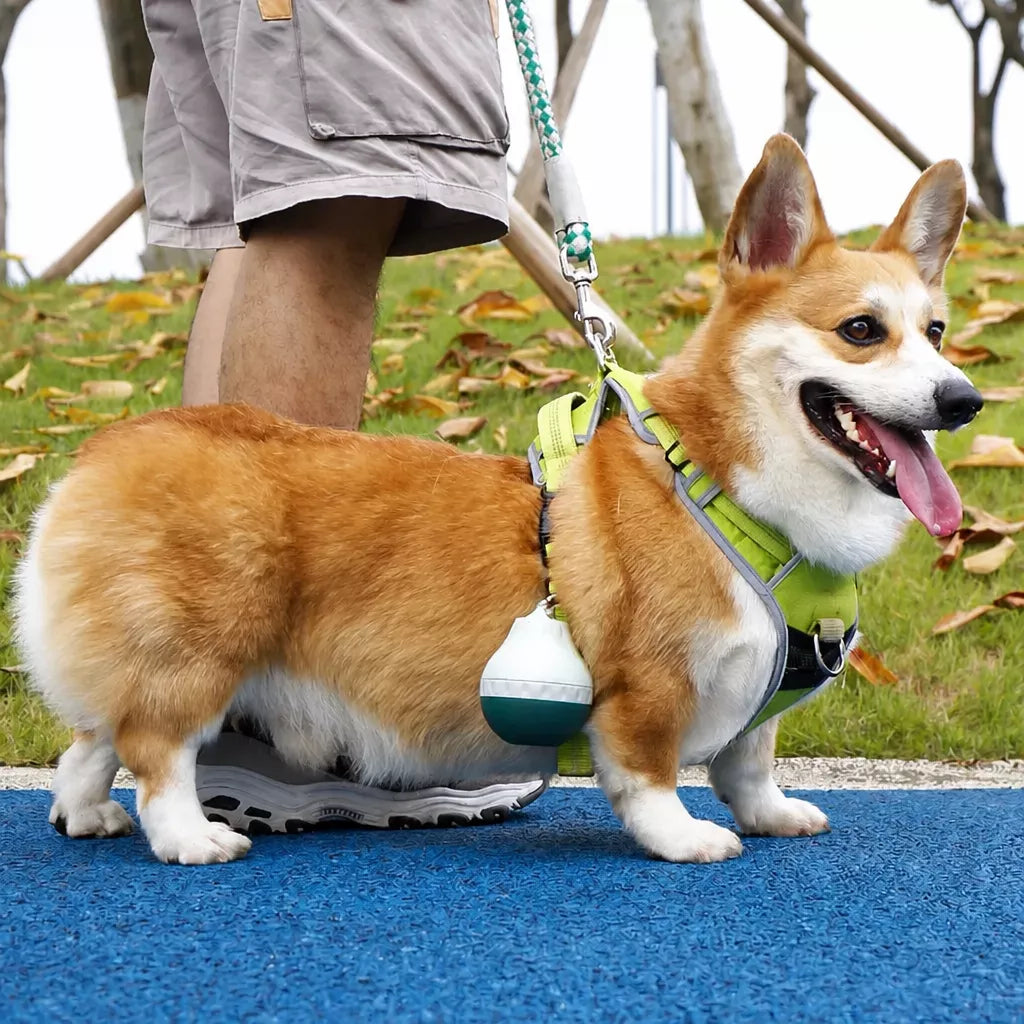 Portable Pet Water Bottle for Dogs and Cats