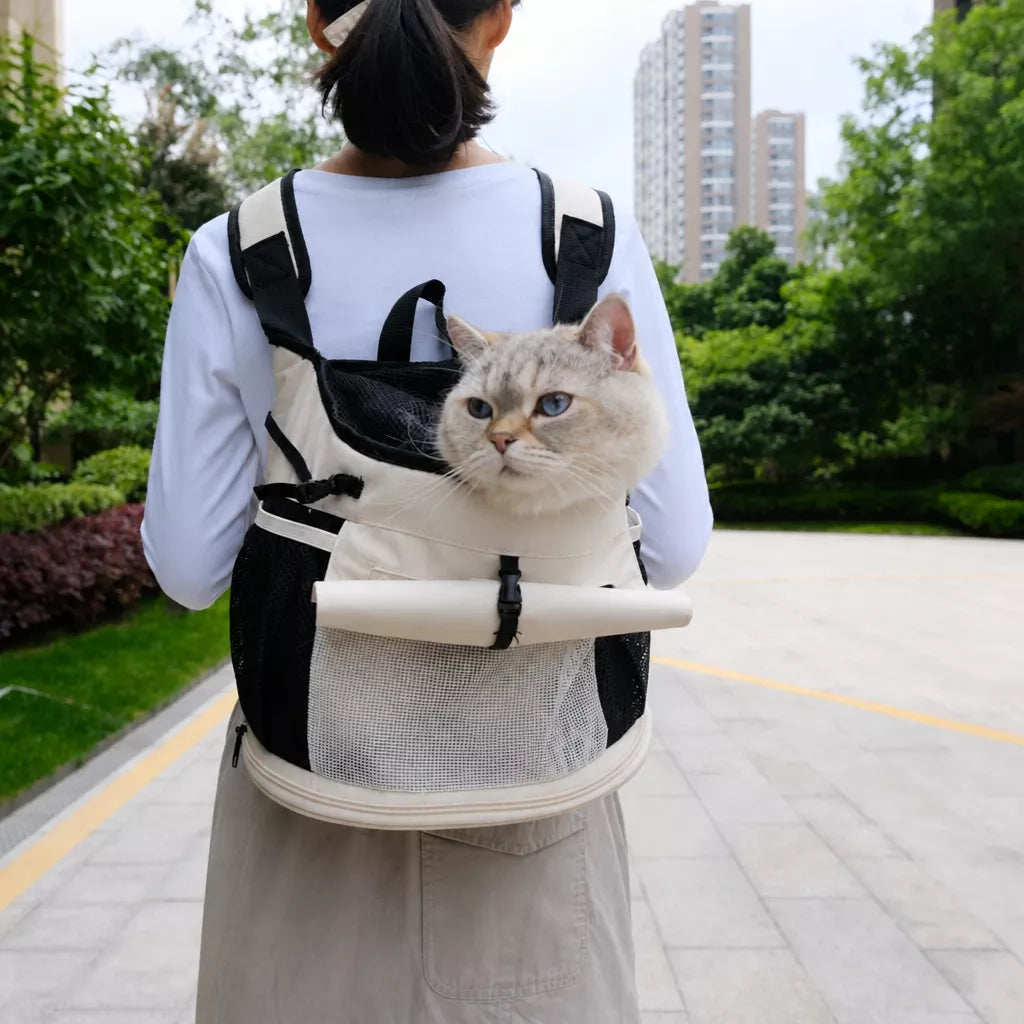 Pet Backpack Carrier for Cats and Small Dogs