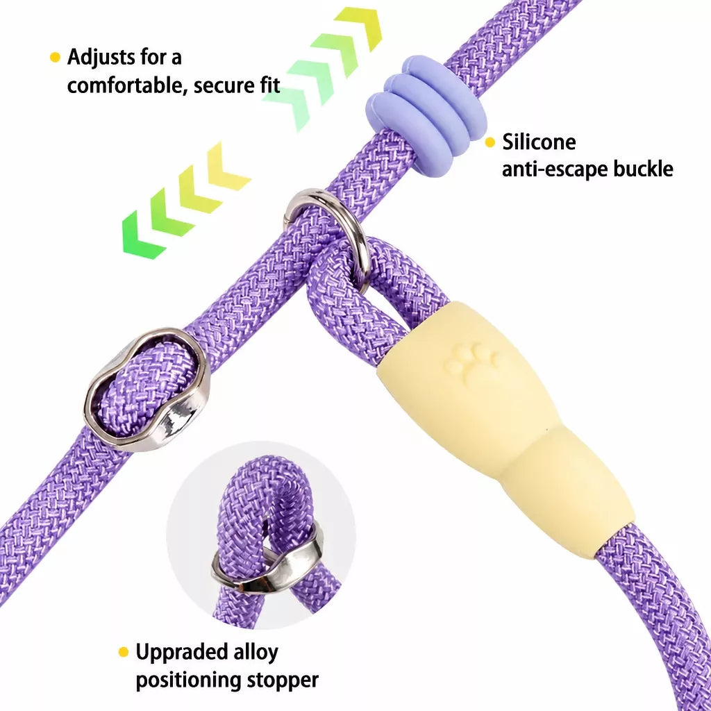 Nylon Slip Lead Dog Leash for Walking and Training