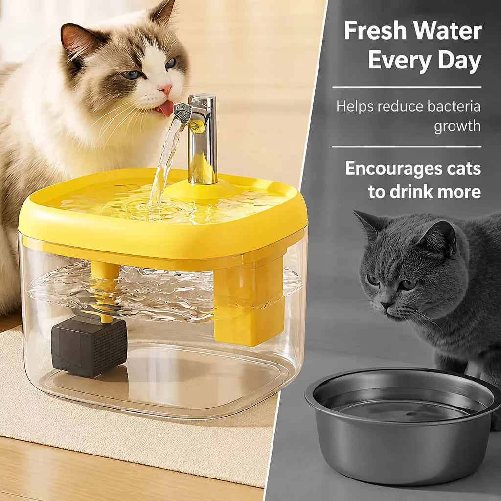 Automatic Pet Water Fountain with Quiet Circulating Flow