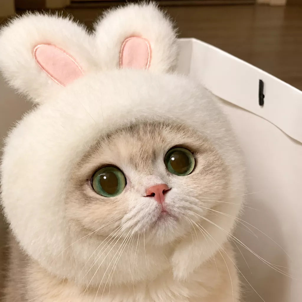 Pet Costume Hats for Dogs and Cats