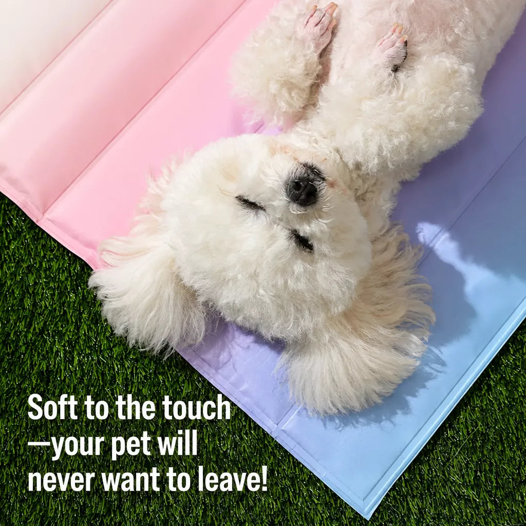 Oval & Square Pet Mats for Dogs and Cats