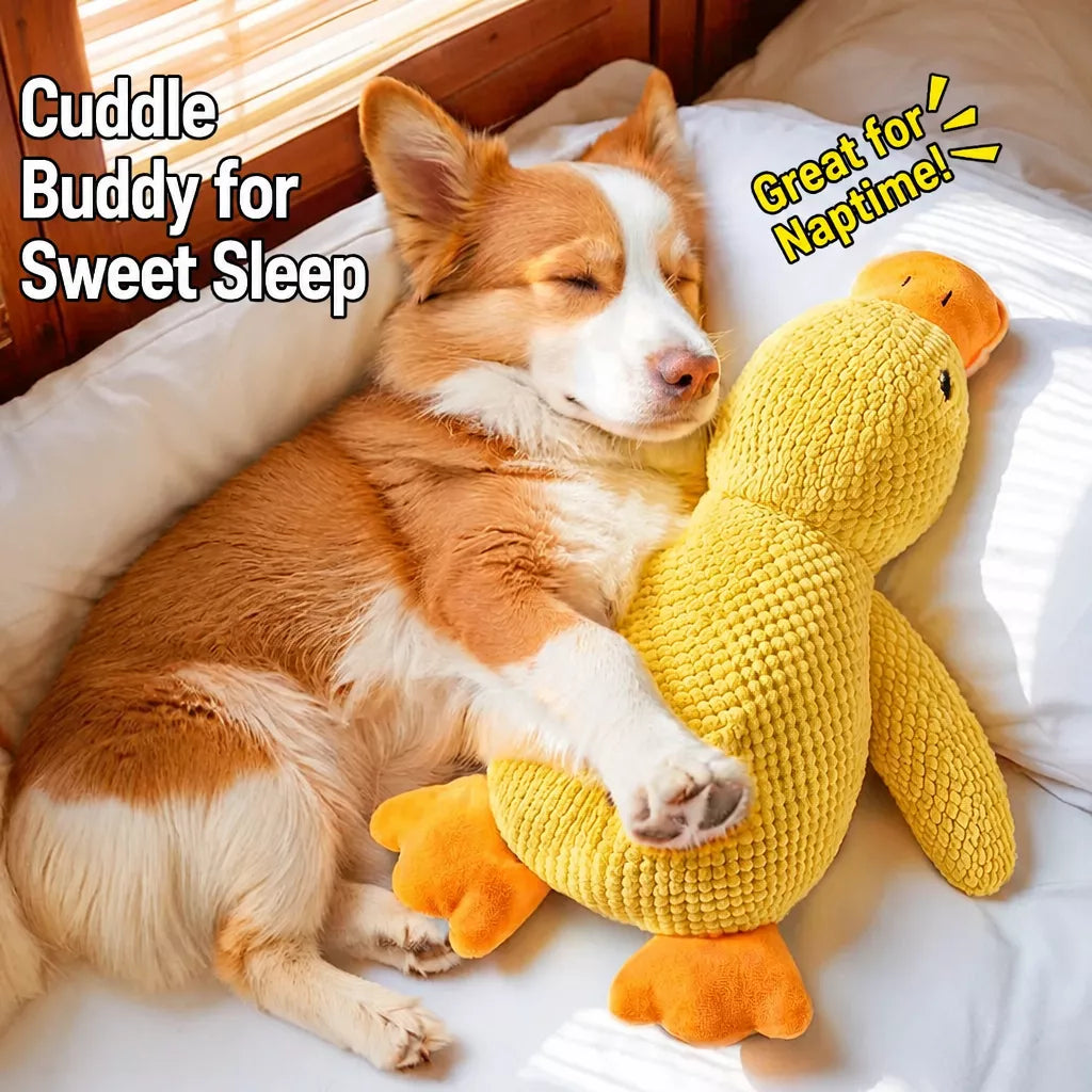Plush Dog Toys with Squeakers and Crinkle Paper