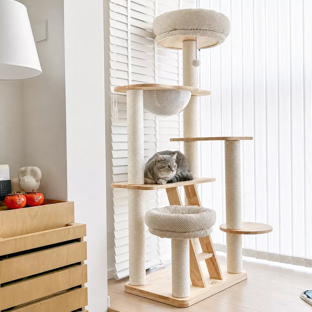 Wooden Cat Tree with Enclosed Hideaway and Removable Washable Parts