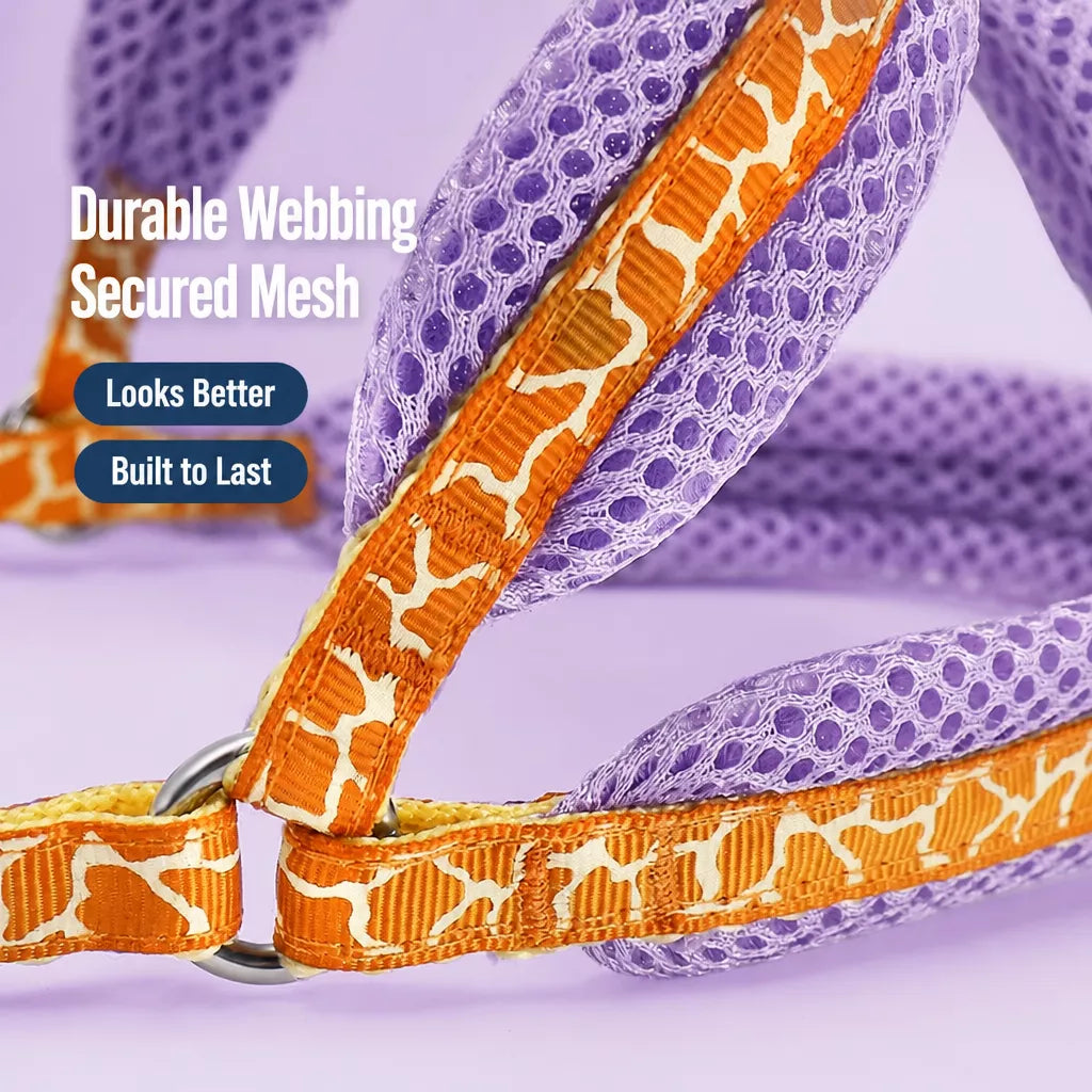 Small Dog Vest Harness and Leash