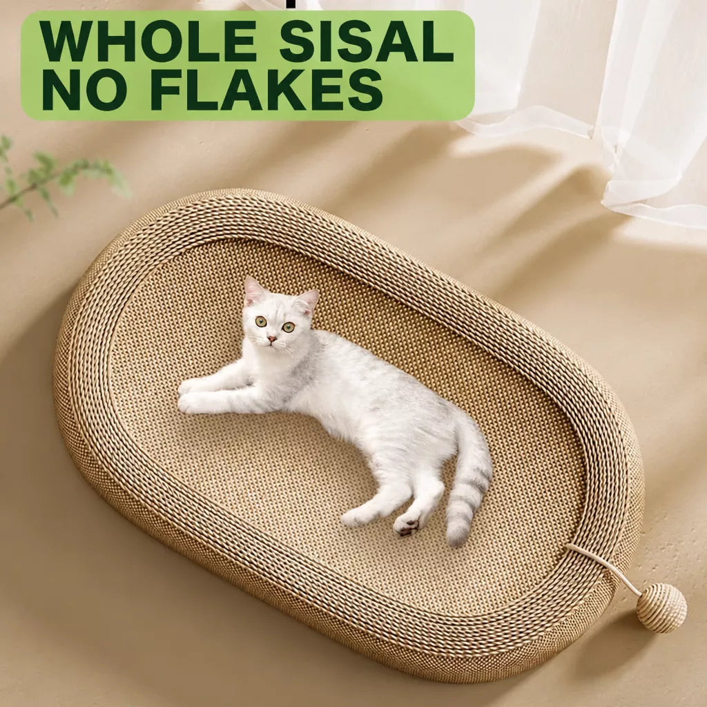 Sisal Cat Scratcher with Interactive Toy