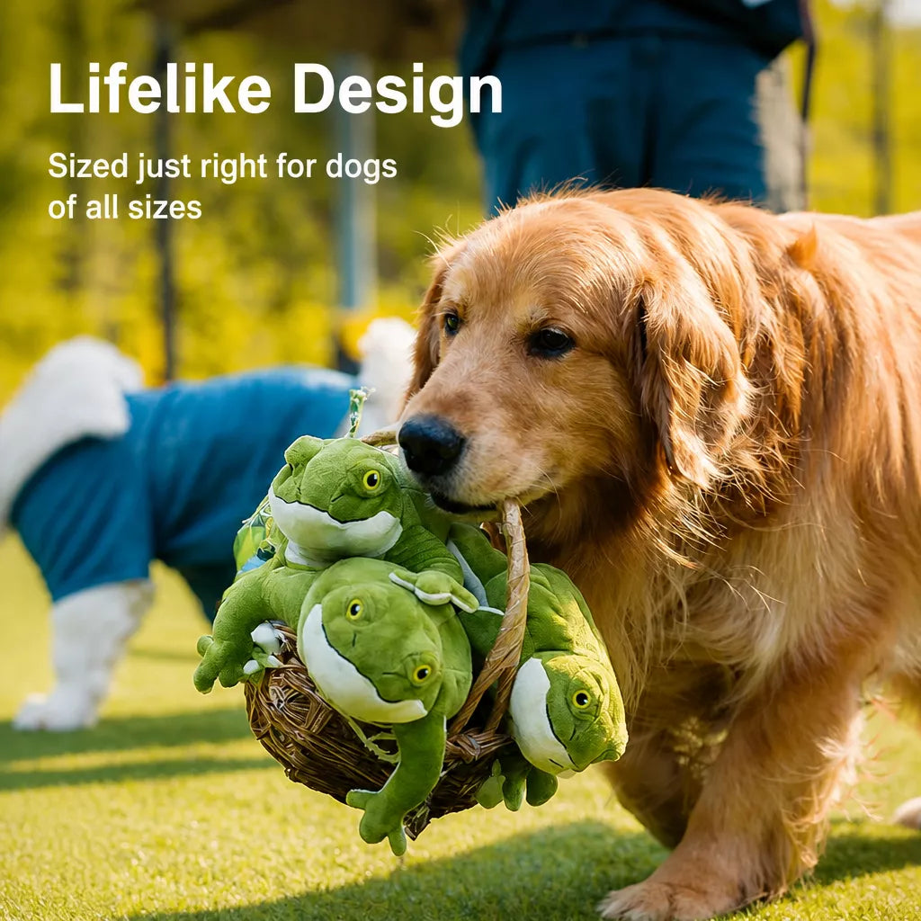 Plush Squeaky Frog Toy for Dogs