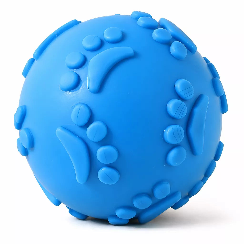 TPR Paw Print Squeaky Ball Dog Toy for Interactive Play