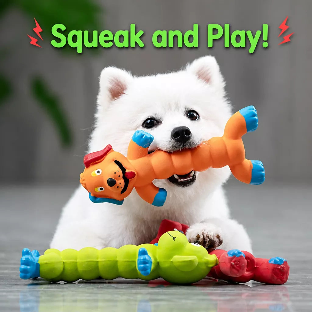 Latex Squeaky Dog Toy for Small and Medium Dogs