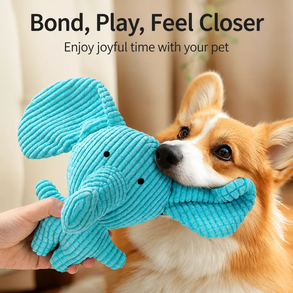 Squeaky Dog Toys with Balls, Rope Toys and Flying Discs
