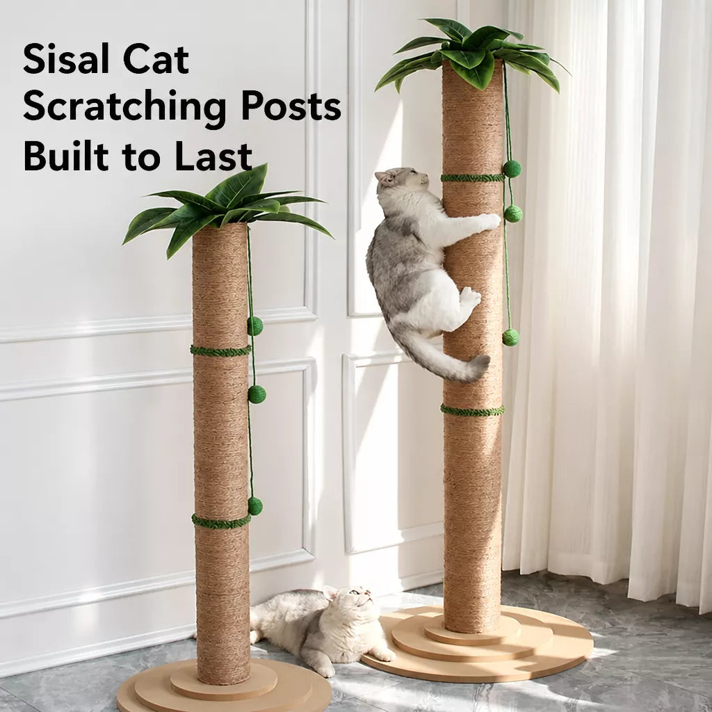 Tall Sisal Cat Scratching Post with Vertical Climbing Design
