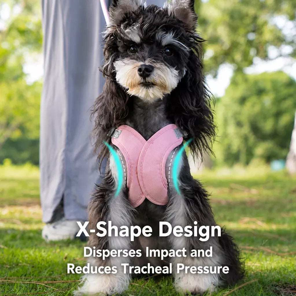 X-Style Pet Harness and Leash