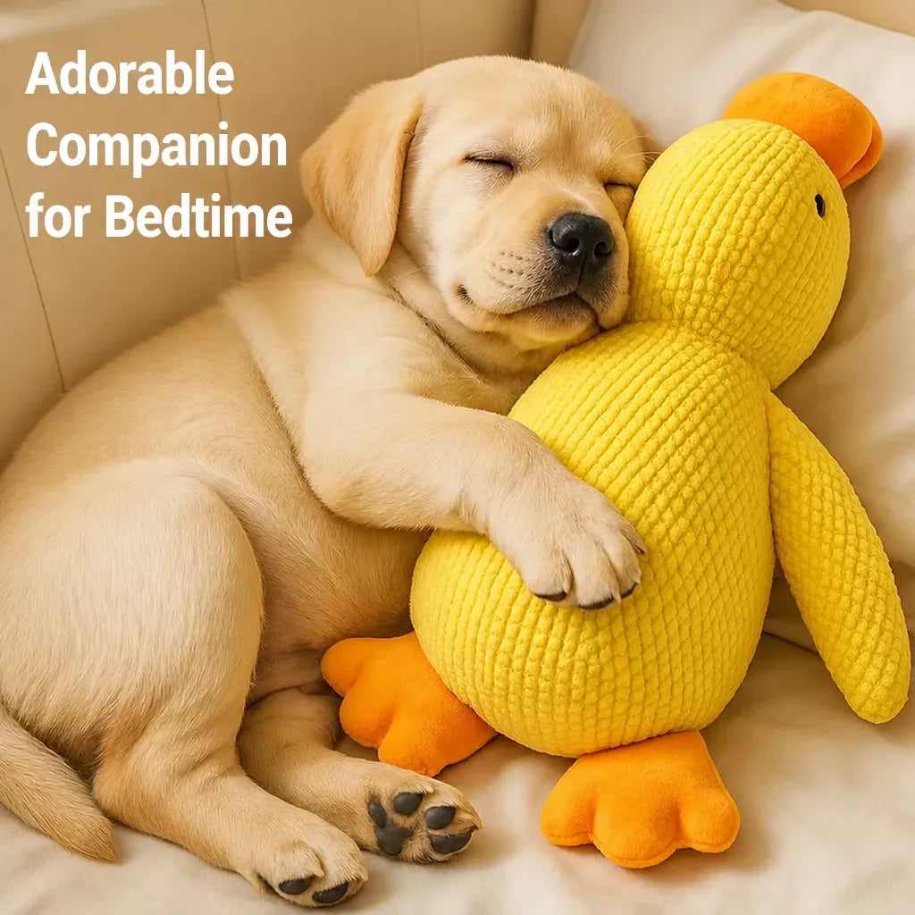 Plush Squeaky Duck Toy for Dogs and Cats