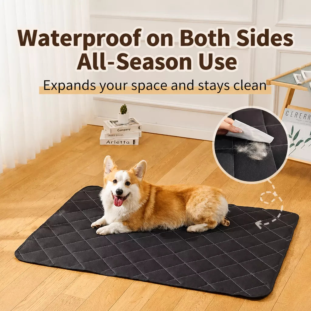 Foam Dog Crate & Floor Mat