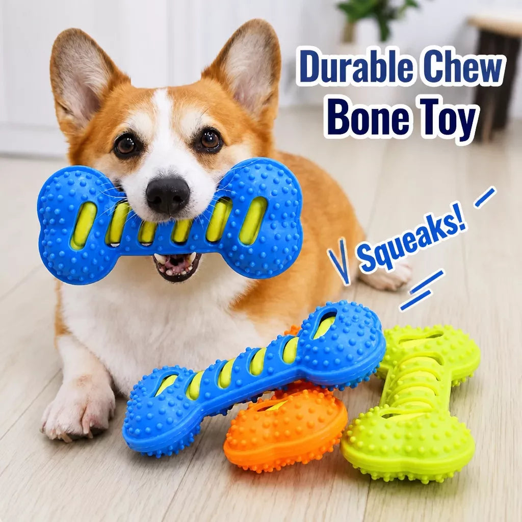 Double-Layer Squeaky Bone Toy for Large Dogs