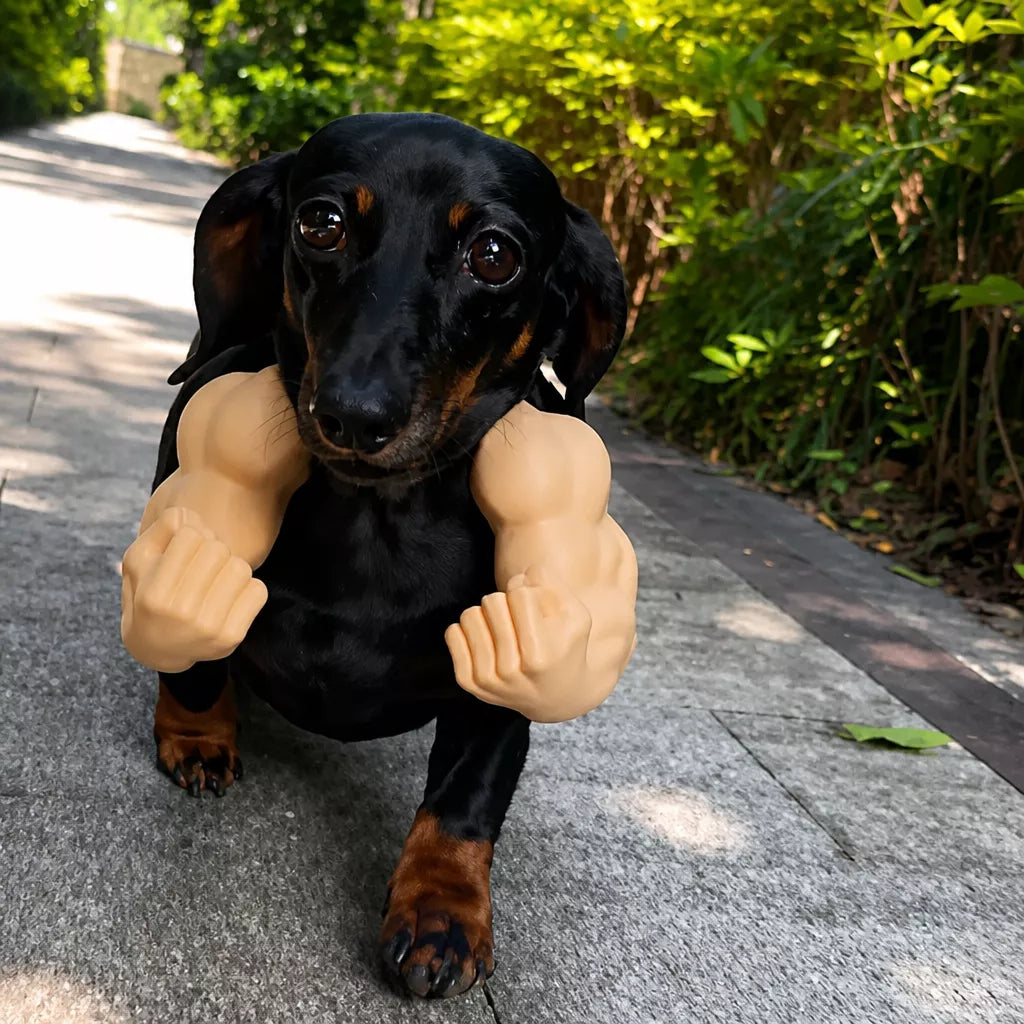 3D-Printed Pet Collar Charm