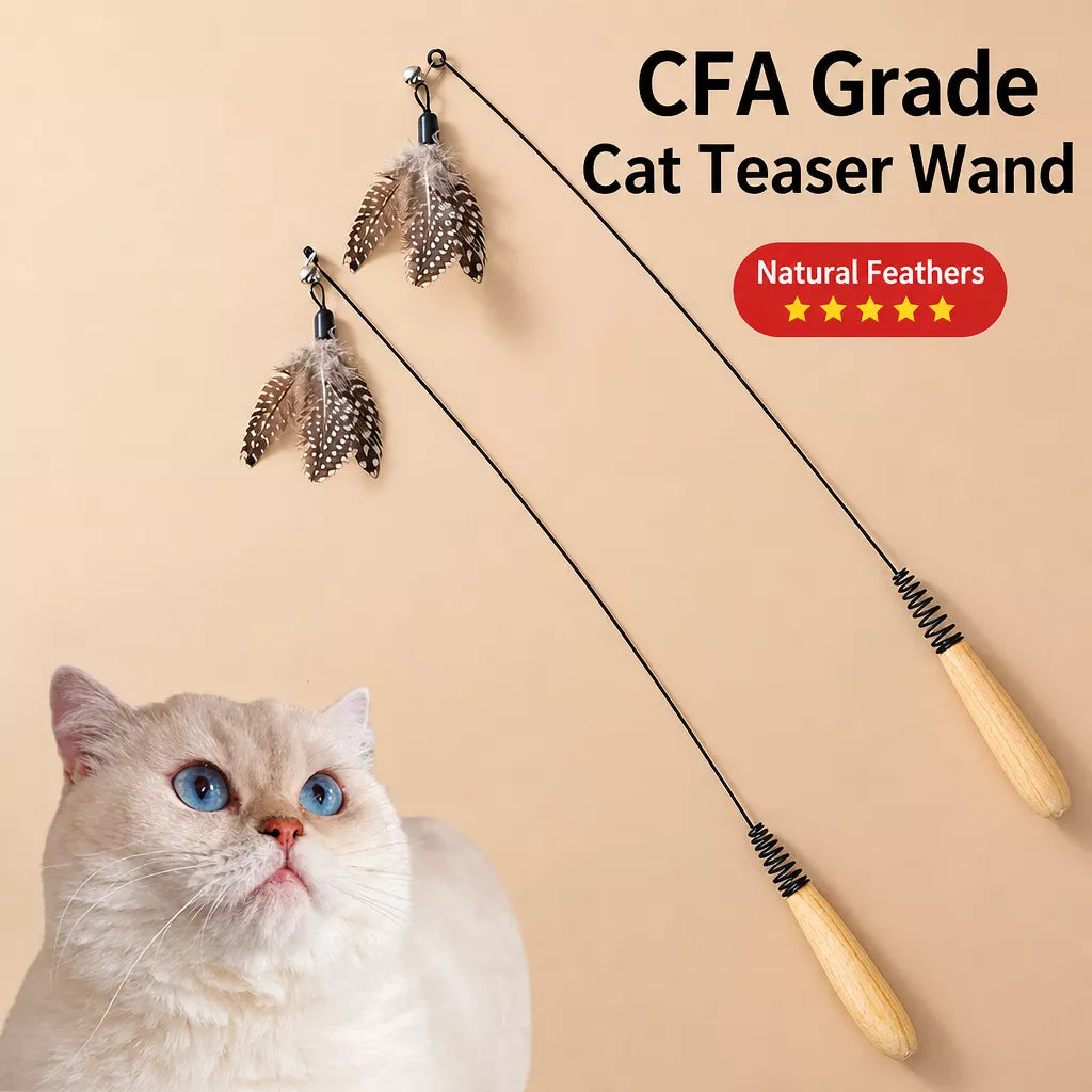 Interactive Cat Teaser Wand with Feather Replacement Heads