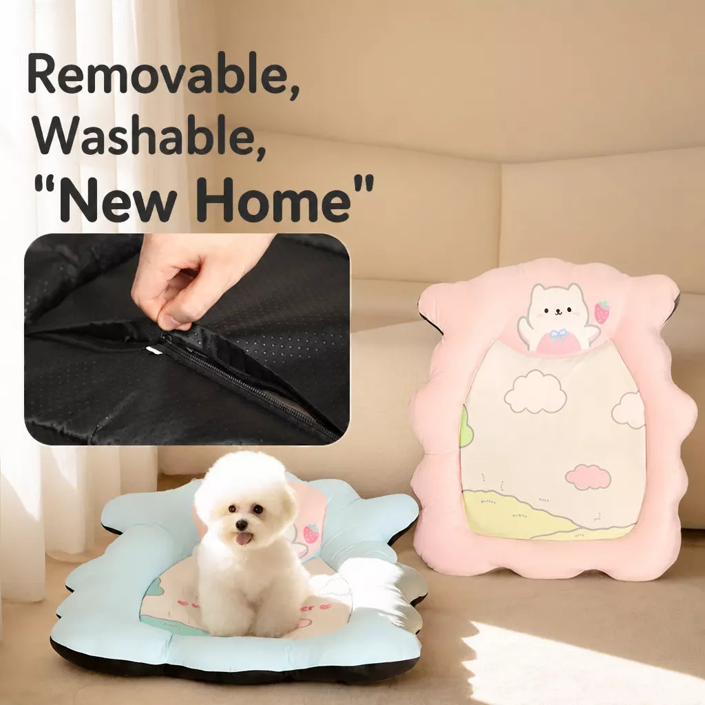Removable Washable Pet Bed for Dogs and Cats