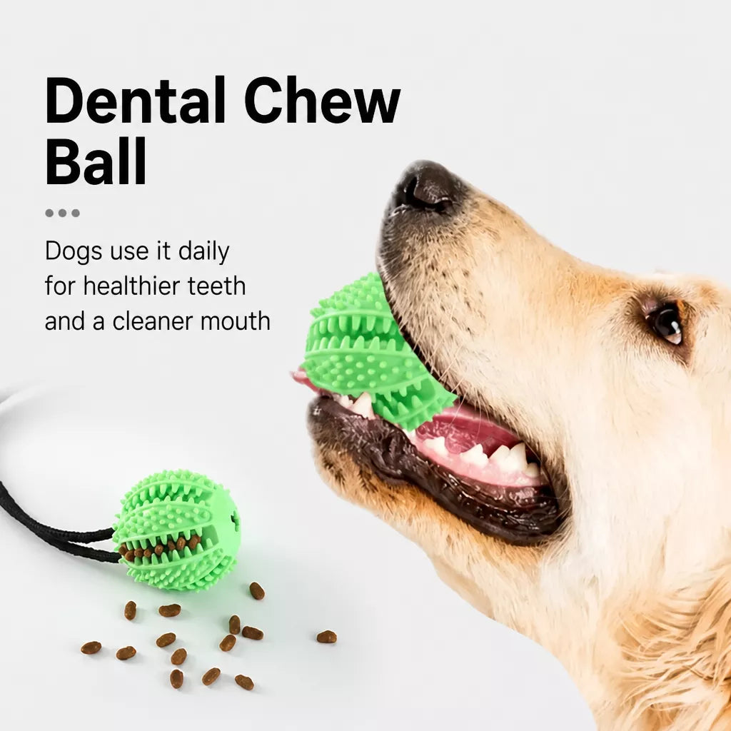 Suction Cup Treat-Dispensing Dog Toy