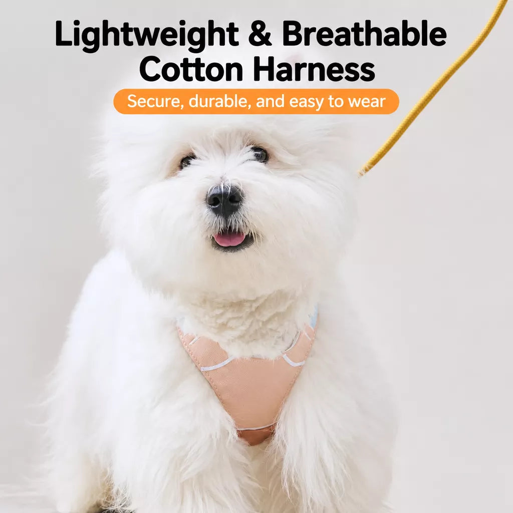 Vest-Style Dog Harness with Leash for Small to Medium Dogs