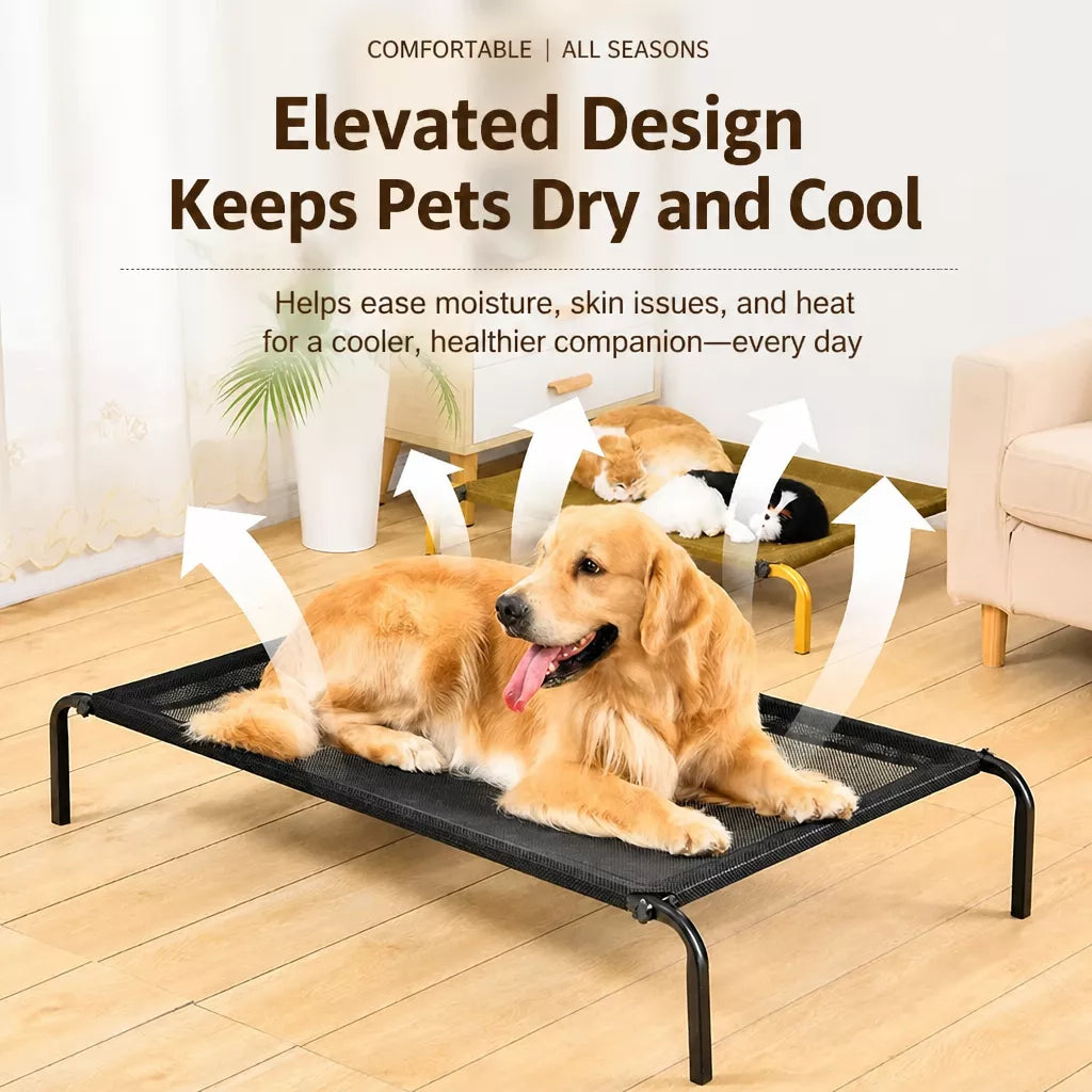 Elevated Pet Cot Bed with Removable Washable Nylon Cover