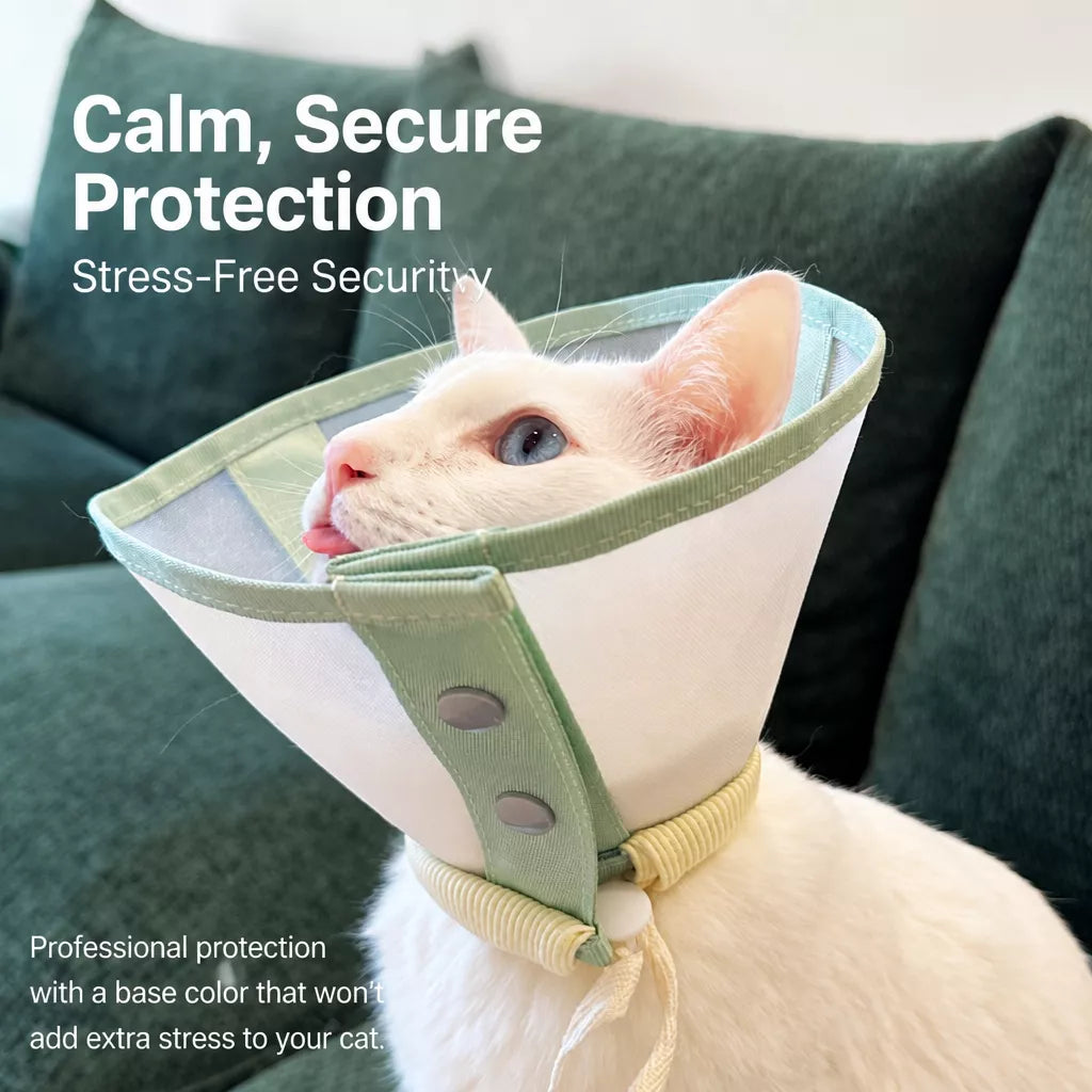 Lightweight Plastic Recovery Cone for Dogs and Cats