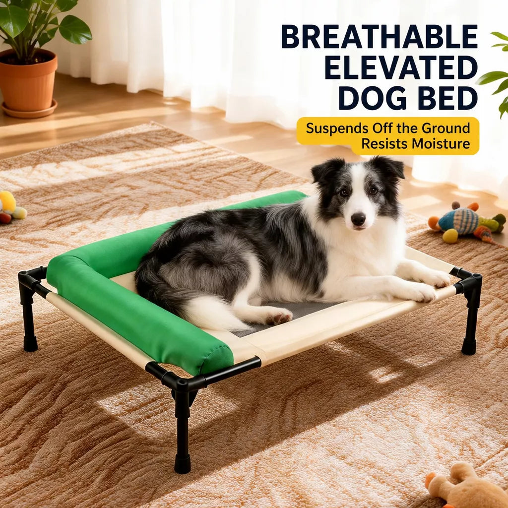 Elevated Pet Cot Bed with Removable Washable Cover
