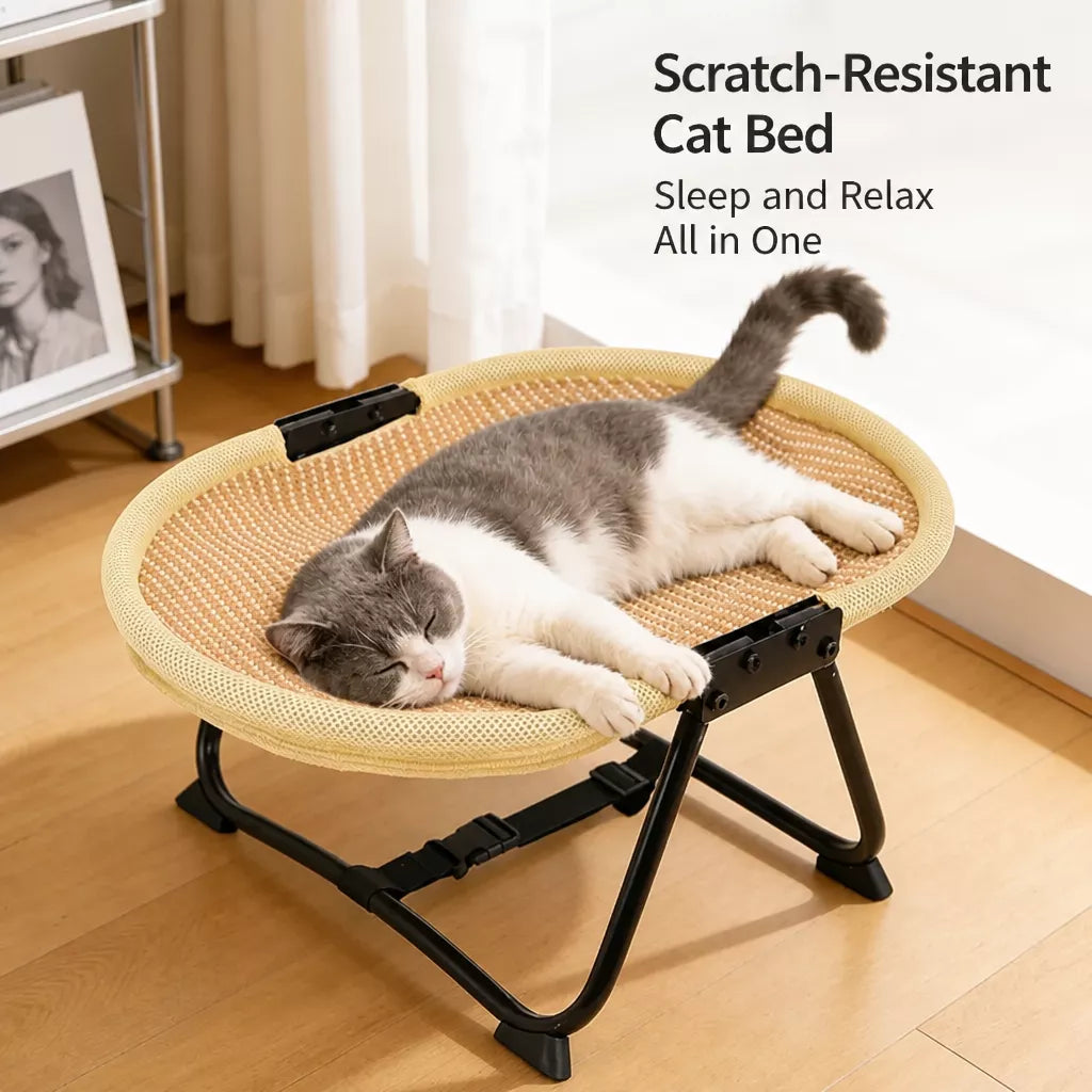 Foldable Elevated Pet Cot for Cats & Dogs