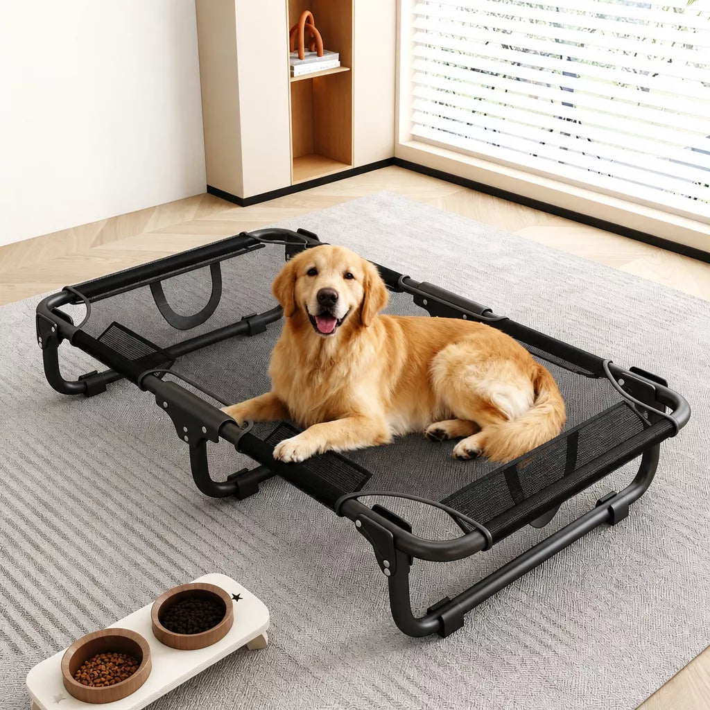 Elevated Foldable Mesh Dog Bed