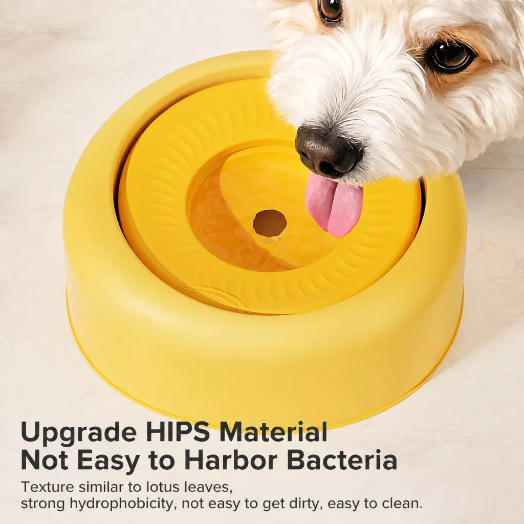 Floating Water Bowl for Dogs and Cats