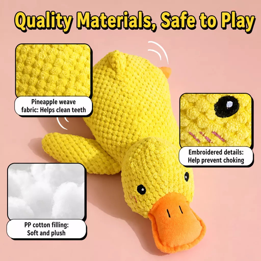 Plush Squeaky Dog Toy