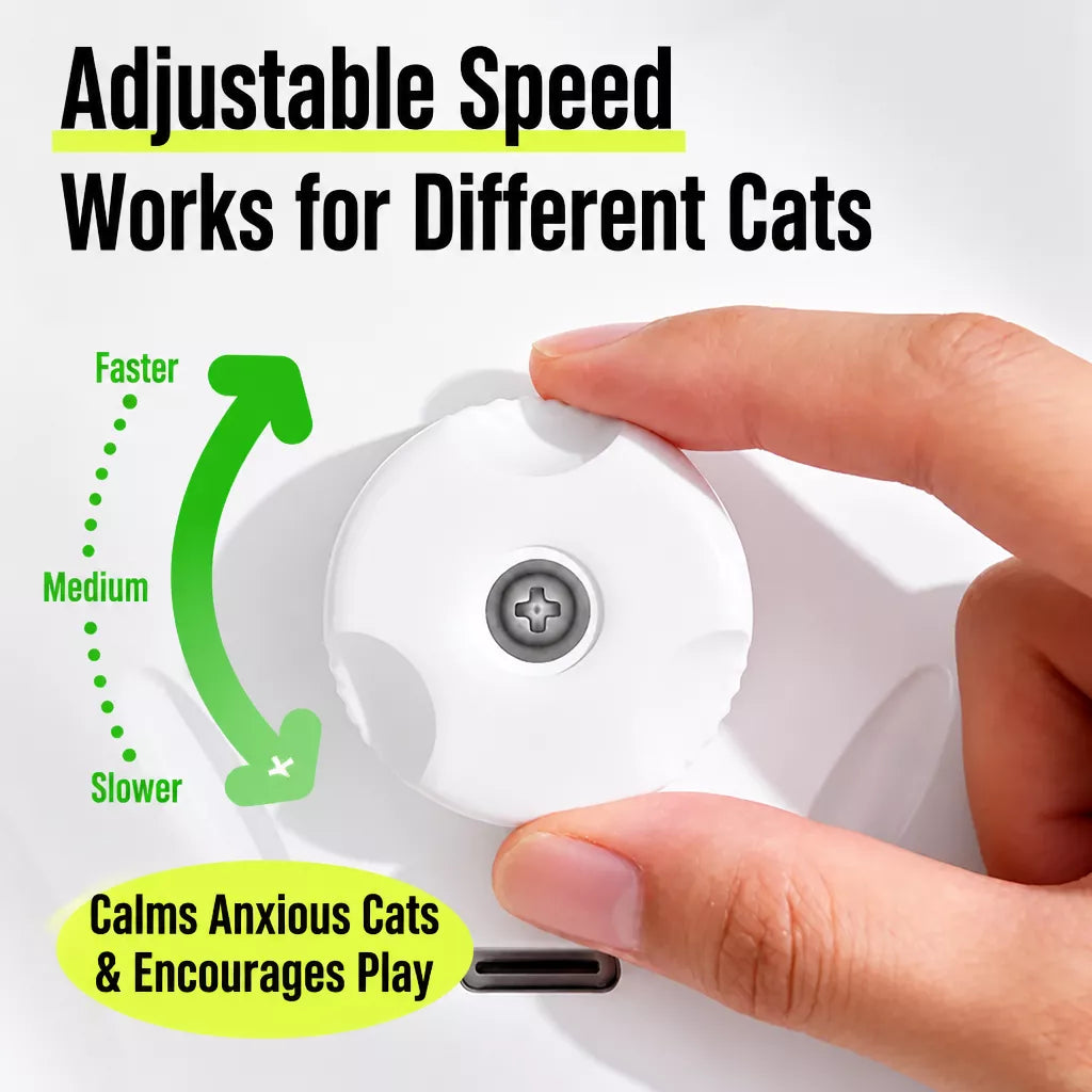 Rechargeable Automatic Whack-a-Mole Cat Toy