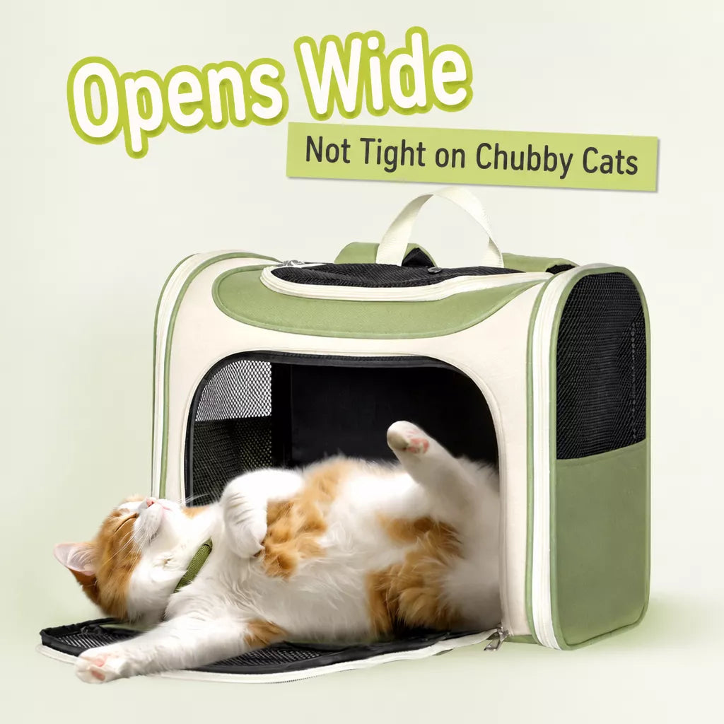 Portable Canvas Cat Carrier