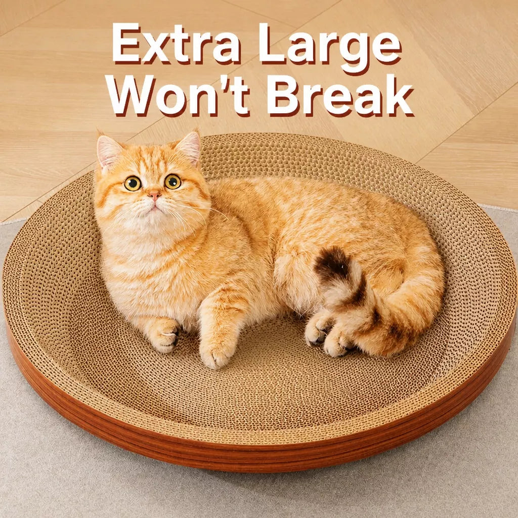 Corrugated Cardboard Cat Scratcher Lounge