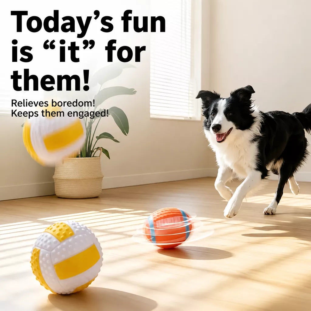 Squeaky Vinyl Sports Ball Toys for Small and Medium Dogs