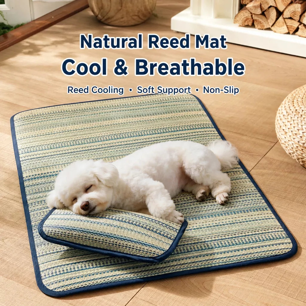 Silicone Pet Bed Mat