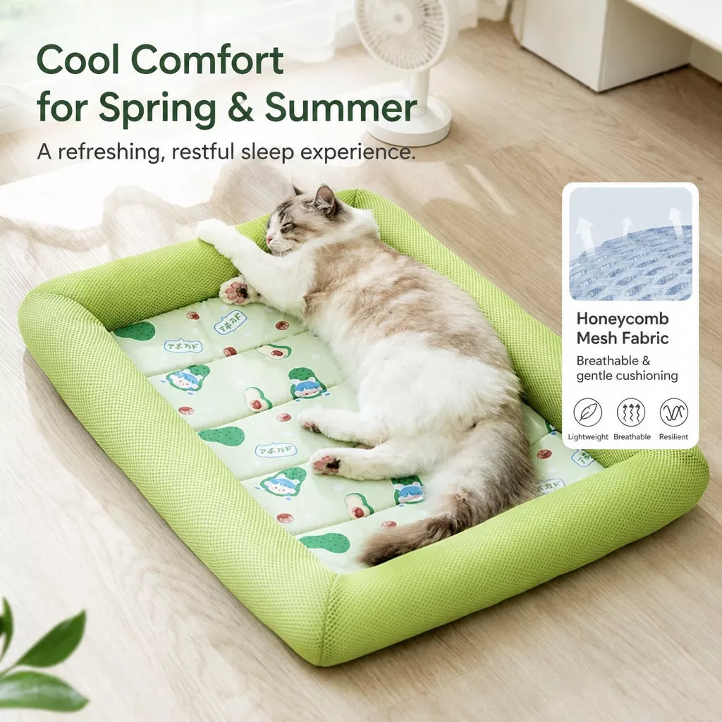 Removable Washable Fabric Dog Bed for Year-Round Use