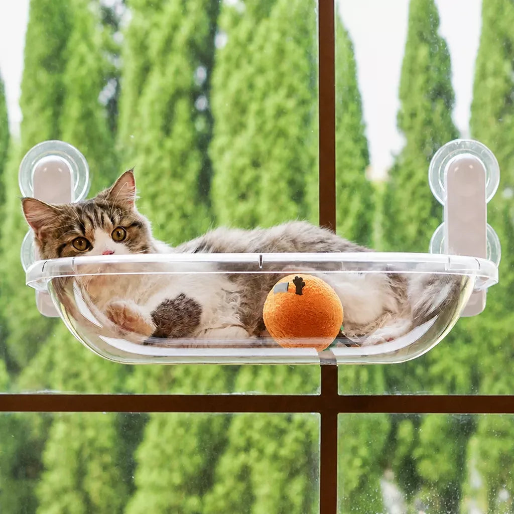 Foldable Transparent Cat Window Capsule Hammock