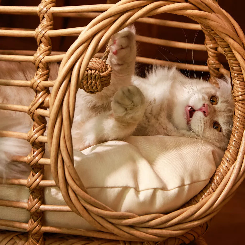 Handwoven Rattan Hanging Pet Bed with Cushion