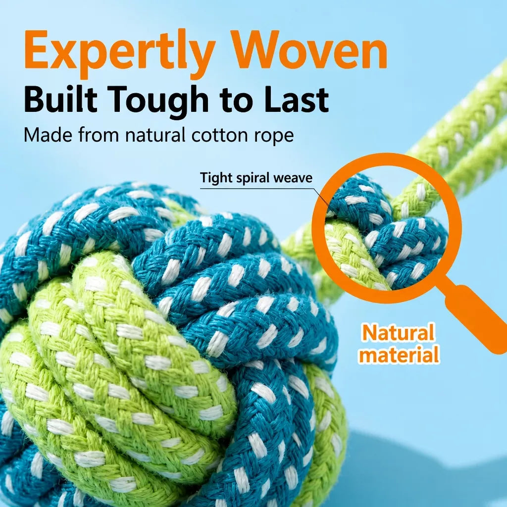 Interactive Dog Toys for Small to Medium Dogs – Tug & Squeaky