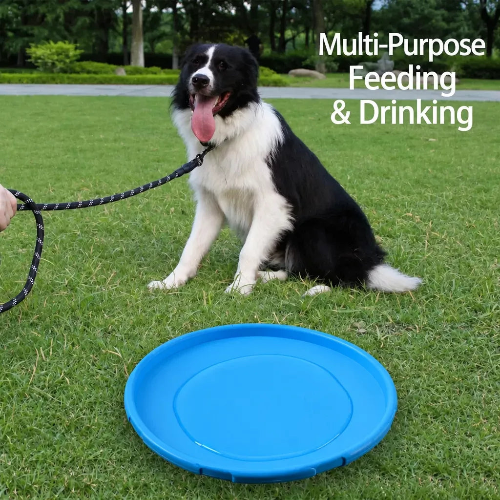 Floating Dog Flying Disc Toy for Training and Interactive Play