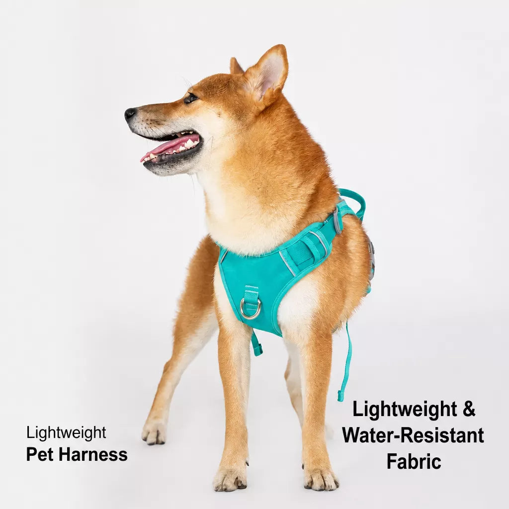 Lightweight Nylon Dog Harness and Leash Set