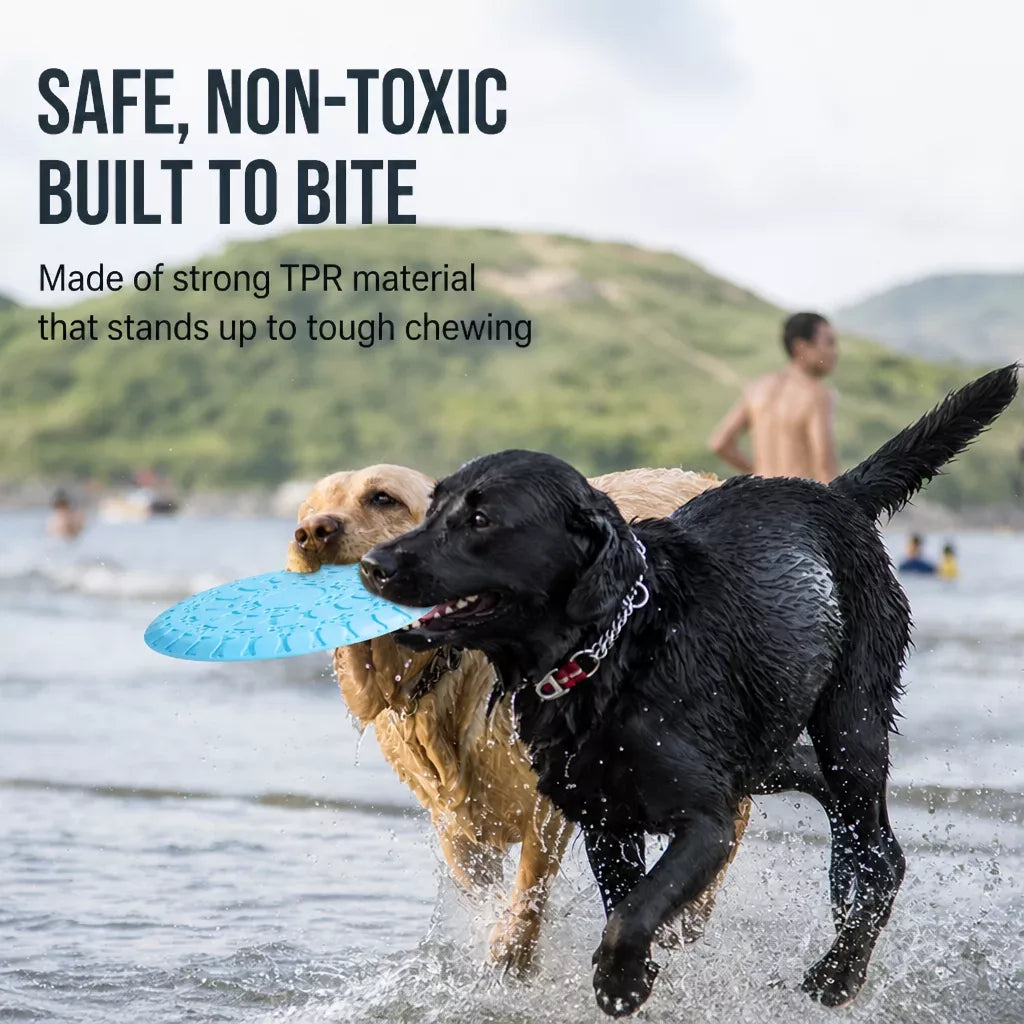 Soft Resin Dog Frisbee for Outdoor Play & Training