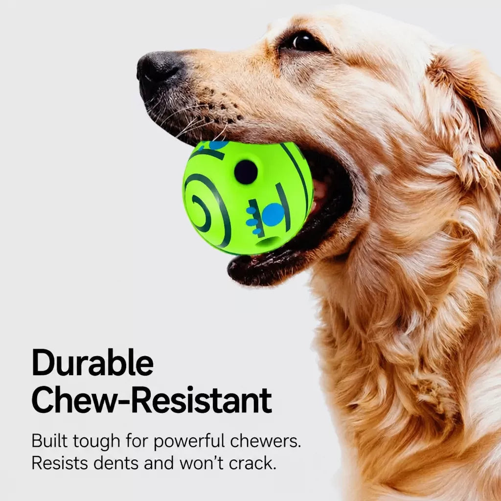 Squeaky Vinyl Ball Toy for Dogs